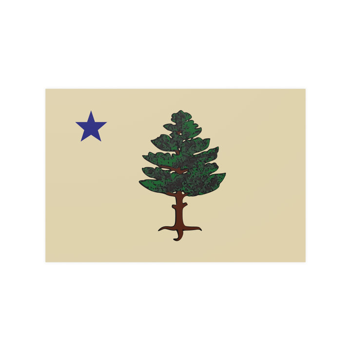 Maine State Flag (1901–1909) Poster