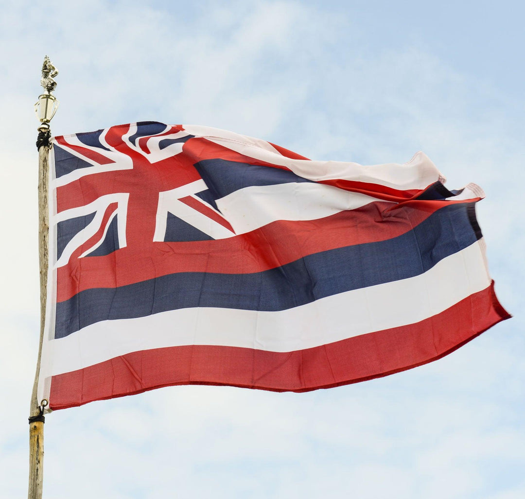 Hawaii Flag - USA Flag Co.