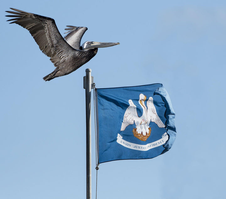 Louisiana Flag - USA Flag Co.