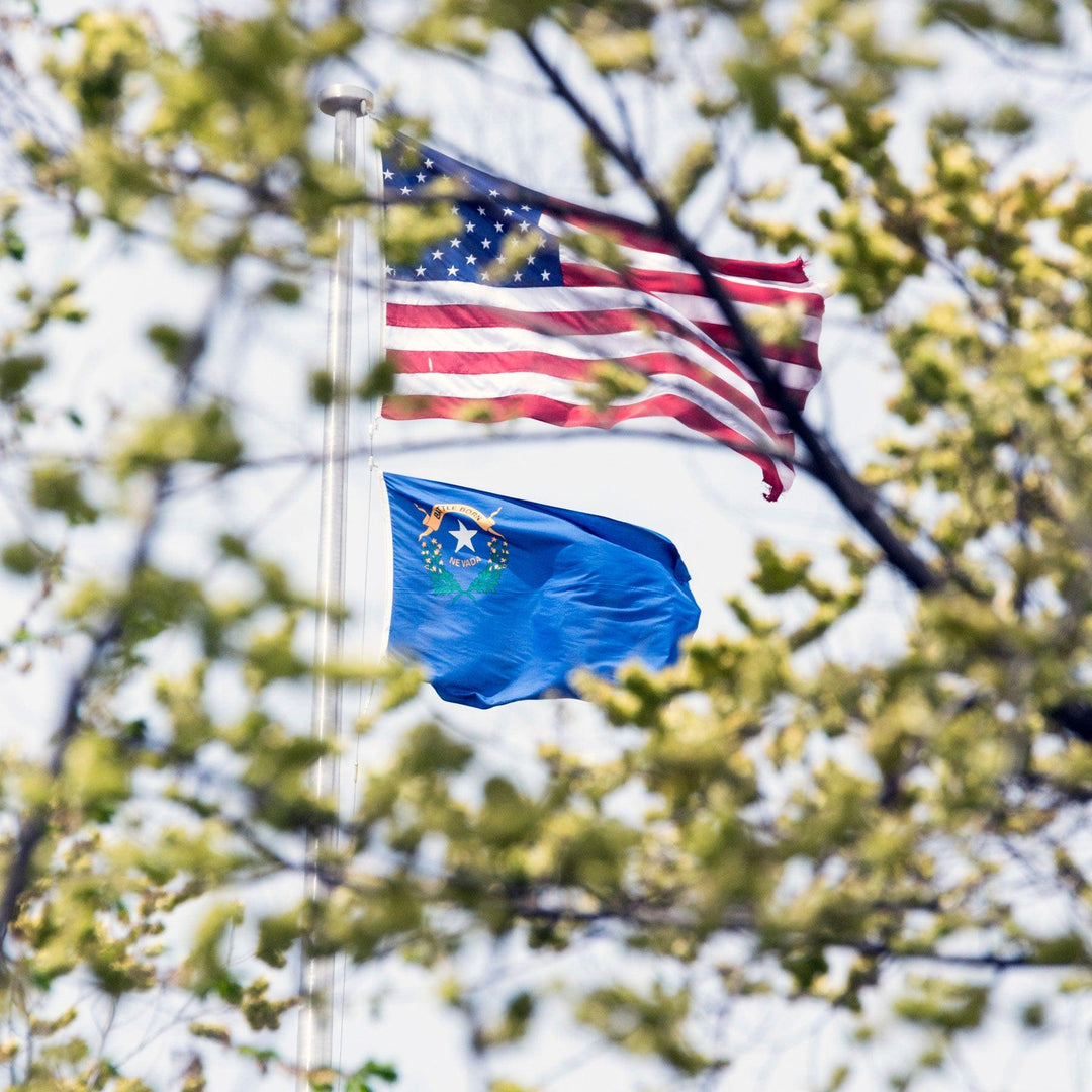 Nevada Flag - USA Flag Co.